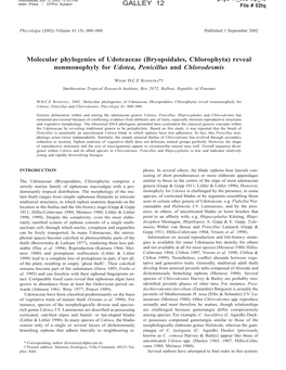 GALLEY 12 Molecular Phylogenies of Udoteaceae (Bryopsidales, Chlorophyta) Reveal Nonmonophyly for Udotea, Penicillus and Chlorod