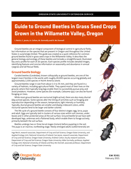 Guide to Ground Beetles in Grass Seed Crops Grown in the Willamette Valley, Oregon