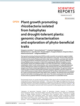 Plant Growth Promoting Rhizobacteria Isolated from Halophytes and Drought-Tolerant Plants: Genomic Characterisation and Explorat