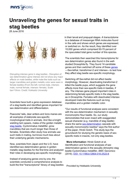 Unraveling the Genes for Sexual Traits in Stag Beetles 28 June 2016