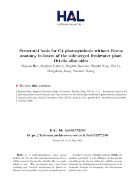 Structural Basis for C4 Photosynthesis Without Kranz Anatomy in Leaves Of