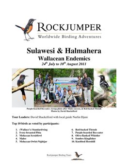 Sulawesi & Halmahera