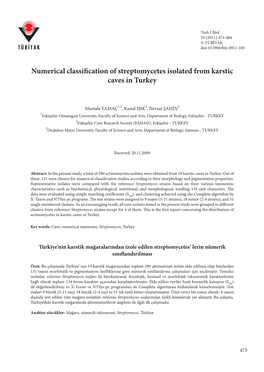 Numerical Classification of Streptomycetes Isolated from Karstic