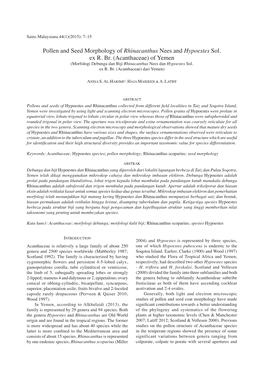 Pollen and Seed Morphology of Rhinacanthus Nees and Hypoestes Sol