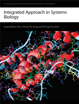Integrated Approach in Systems Biology