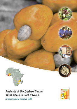 Analysis of the Cashew Sector Value Chain in Côte D'ivoire