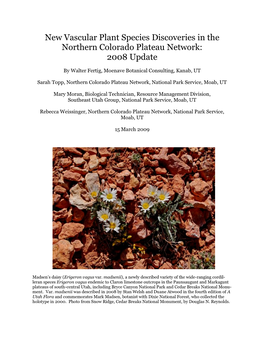 New Vascular Plant Species Discoveries in the Northern Colorado Plateau Network: 2008 Update