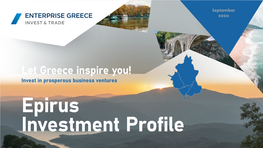 Invest in Prosperous Business Ventures Epirus Investment Profile Epirus