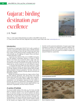 Gujarat: Birding Destination Par