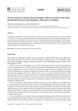 Zootaxa, Two New Species of Amnestus