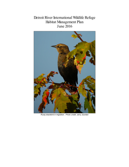 Detroit River International Wildlife Refuge Habitat Management Plan June 2016