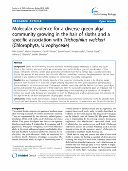 Molecular Evidence for a Diverse Green Algal Community Growing in the Hair of Sloths and a Specific Association with Trichophilus Welckeri (Chlorophyta, Ulvophyceae)