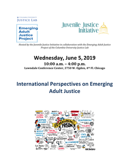 Emerging Adult Justice Forum: International Perspectives and Opportunities for Reform in Illinois