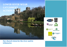 Lower River Wear Catchment Action Plan
