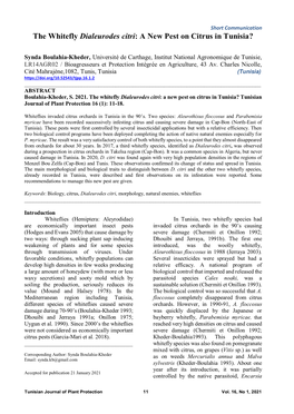 The Whitefly Dialeurodes Citri: a New Pest on Citrus in Tunisia?