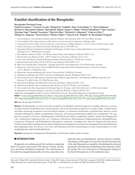 Familial Classification of the Boraginales Boraginales Working Group Federico Luebert,1,2 Lorenzo Cecchi,3 Michael W