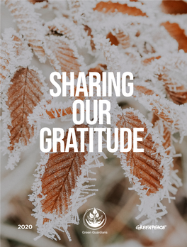 Gratitude Report – It’S Been Prepared for You to Give You a Sense of the Positive Impacts Your Support Has Helped Propel This Year