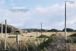 MARGARET RIVER WA | Journey Horses Graze Near Cape Naturaliste, the Northernmost Headland in the Region