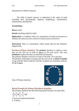 Permanent Maxillary Lateral Incisors Dr.Zainab Mahmood