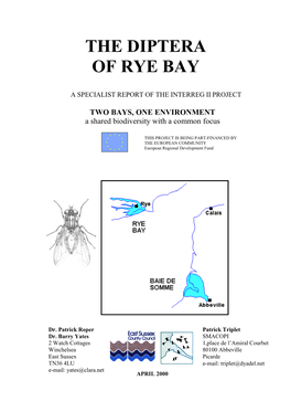 Diptera of Rye Bay