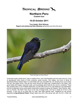 Tropical Birding Trip Report Northern Peru Custom Tour Octo 2011