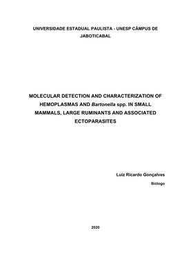 MOLECULAR DETECTION and CHARACTERIZATION of HEMOPLASMAS and Bartonella Spp