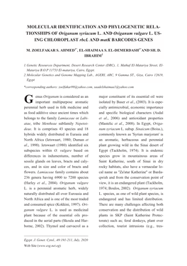 TIONSHIPS of Origanum Syriacum L. and Origanum Vulgare L. US- ING CHLOROPLAST Rbcl and Matk BARCODES GENES