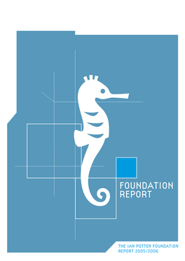 Foundation Report