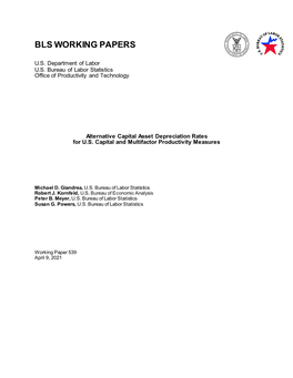 Alternative Capital Asset Depreciation Rates for U.S. Capital and Multifactor Productivity Measures