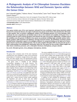 Article a Phylogenetic Analysis of 34 Chloroplast