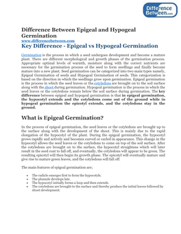 Difference Between Epigeal and Hypogeal Germination Key