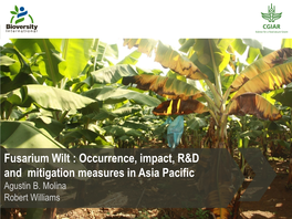 Fusarium Wilt : Occurrence, Impact, R&D and Mitigation Measures in Asia Pacific