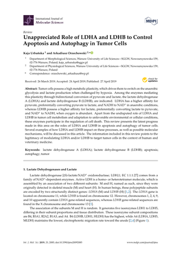 Unappreciated Role of LDHA and LDHB to Control Apoptosis and Autophagy in Tumor Cells