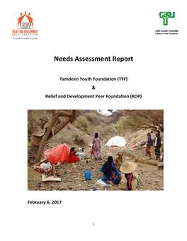 Needs Assessment Report