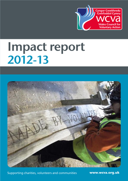 Impact Report 2012-13
