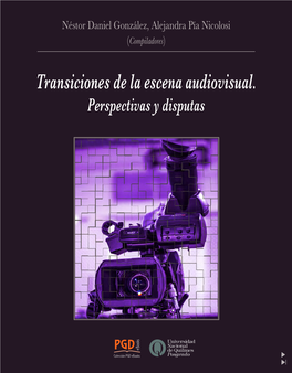 Transiciones De La Escena Audiovisual. Perspectivas Y Disputas