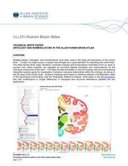 Ontology and Nomenclature in the Allen Human Brain Atlas