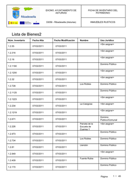 Lista De Bienes2