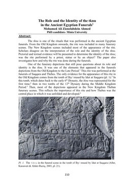 The Role and the Identity of the Tknu in the Ancient Egyptian Funerals1