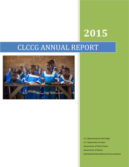 Clccg Annual Report