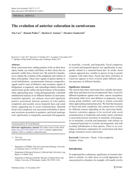 The Evolution of Anterior Coloration in Carnivorans