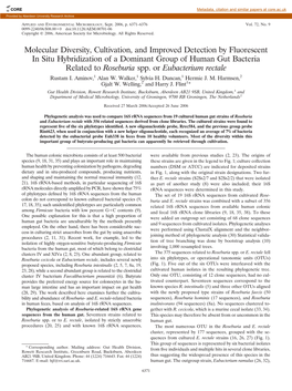 Eubacterium Rectale Rustam I