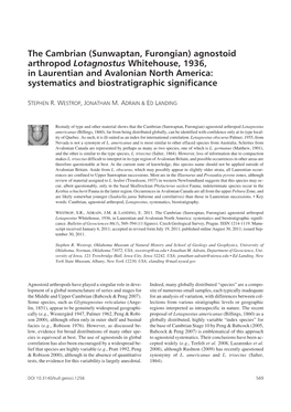 The Cambrian (Sunwaptan, Furongian) Agnostoid Arthropod Lotagnostus