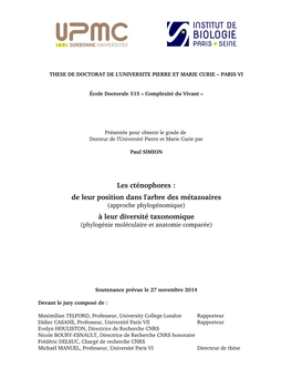 Phd Thesis SIMION 2014