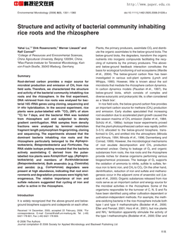 Structure and Activity of Bacterial Community Inhabiting Rice Roots and the Rhizosphere