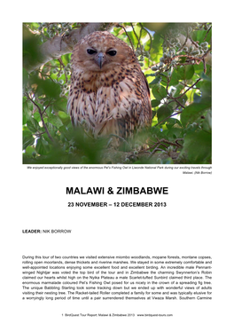 Malawi & Zimbabwe