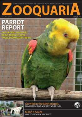 Parrot Report the Urgent Measures Being Taken to Save These Endangered Birds