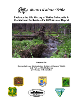 Evaluate the Life History of Native Salmonids in the Malheur Subbasin – FY 2003 Annual Report