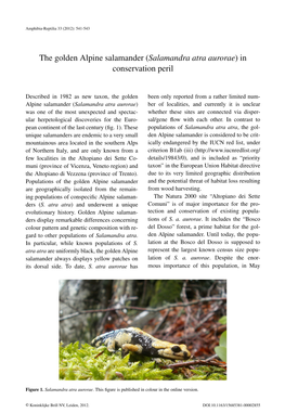 The Golden Alpine Salamander (Salamandra Atra Aurorae) in Conservation Peril