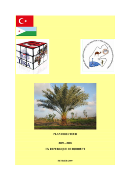 Plan Directeur 2009 – 2018 En Republique De Djibouti